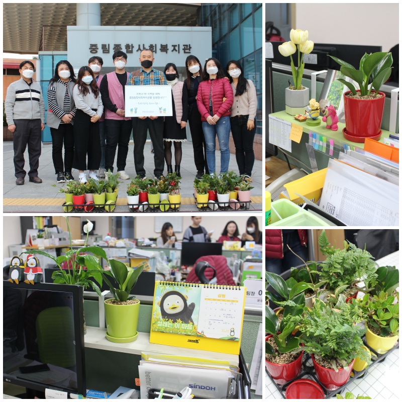 한국화원조합 화분 전달
