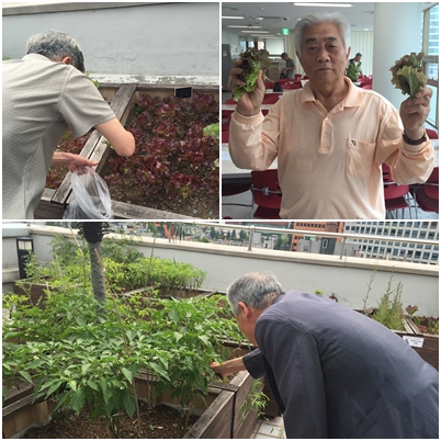 7인7색무지개밥상 \'텃밭활동\'