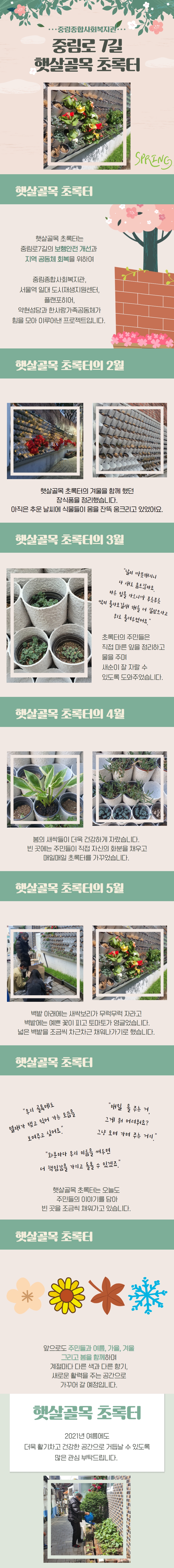 햇살골목 초록터의 봄맞이