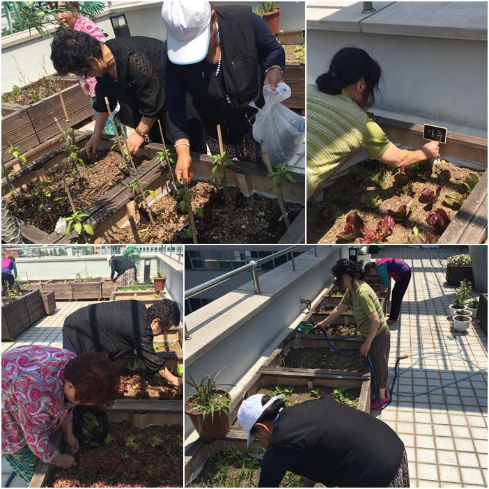 소소한 이야기 \'소담\' 텃밭동아리 진행