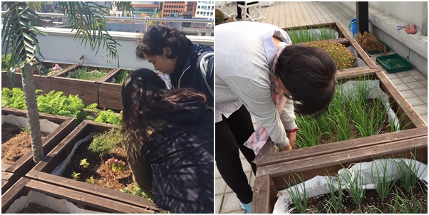 환경리폼모임 \'옥상정원 활동\'