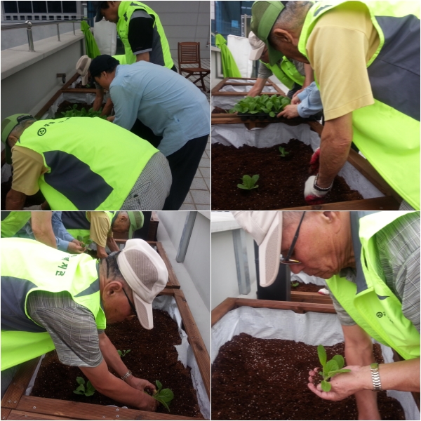 희망나래농장 행복 텃밭가꾸기