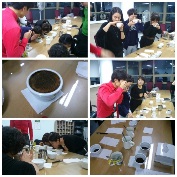 바리스타(전문가) 프로그램 14회기