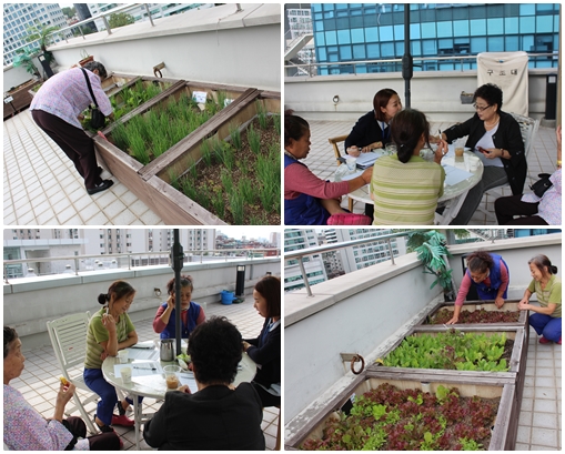 소소한 이야기 소담 텃밭동아리 8차 활동 진행